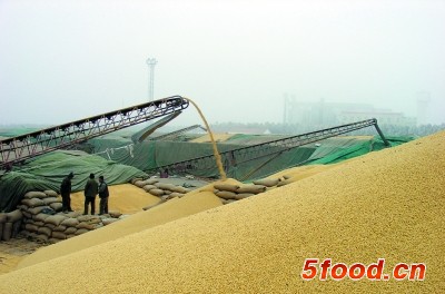 中国取消大豆订单 3月进口料低于需求