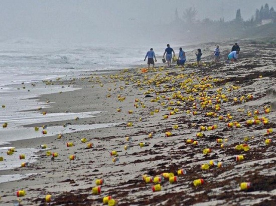 上千罐咖啡“现身”美国海滩 引游人抢拾