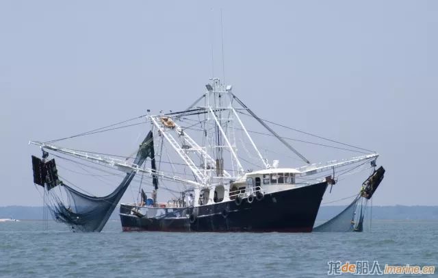 助力渔业科技创新 船企应发挥主导作用