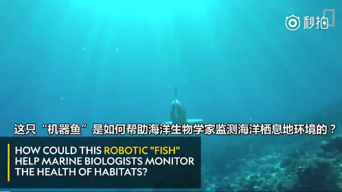 “机器鱼”帮助海洋生物学家监测海水环境