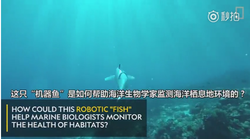 “机器鱼”帮助海洋生物学家监测海水环境