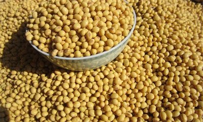 贸易谈判示积极信号，中国再向美国购买160万吨大豆