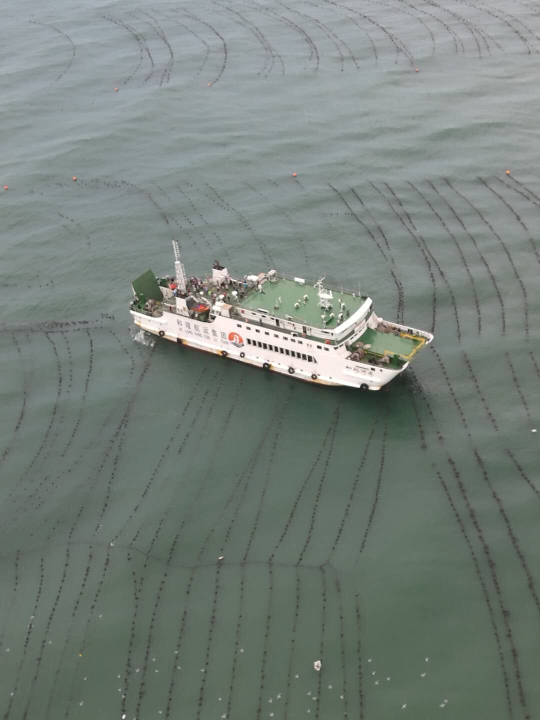 “和航兴龙”轮安全抵达长岛码头 284人全部获救