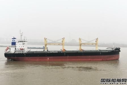 镇江船厂批量承建世界首型“海骆驼”全部交付
