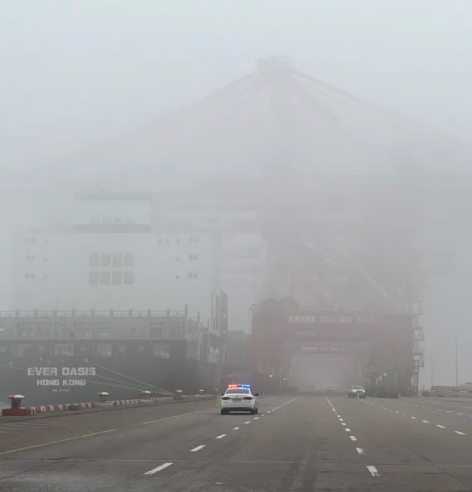 受大雾影响，上海外高桥港区近50艘次国际航行船舶推迟或取消