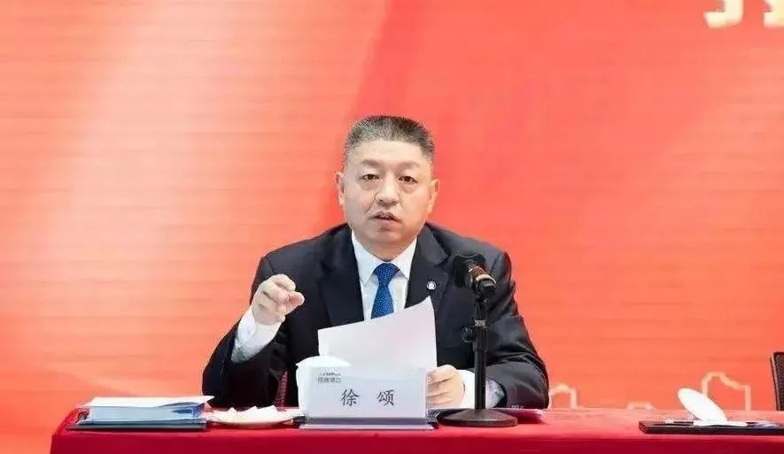 徐颂任上港集团副董事长