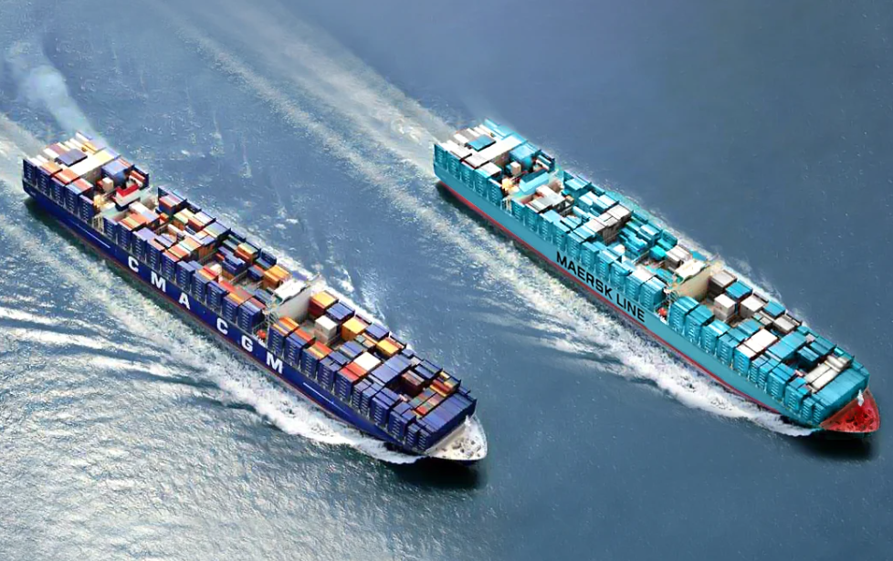 Buying Ships Takes Priority! Leading Liner Companies Collectively Move Away from Chartering