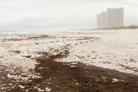 美国佛罗里达沙滩半米深处发现漏油（图）