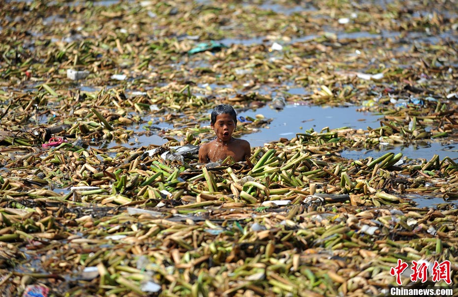 菲律宾马尼拉湾污染严重 河面漂满垃圾