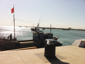 中心渔港港口昨日正式开港（图）