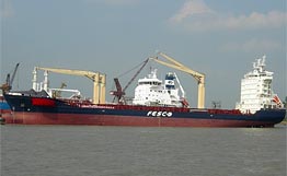 中国造散装船4月底交付俄远东航运集团（图）