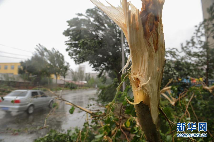 吉林受“布拉万”影响出现暴雨大风天气（高清）