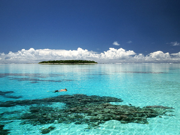 库克群岛将建全球最大海洋保护区 面积相当于两个法国