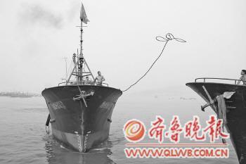 黄渤海伏季休渔结束 出海收成太差船东无奈卖船