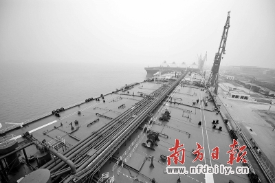 南沙港的发展重塑了广州港在全球航运界的新格局。陈晔华 摄