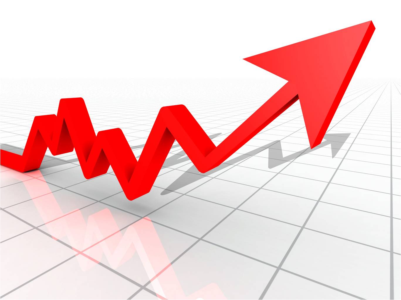 Xiamen port net profit soars