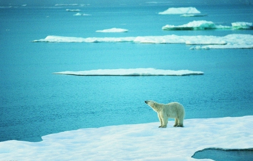 China mulls nuclear power for polar ships