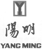 Yang Ming Marine Expands Co-operations on American Routes