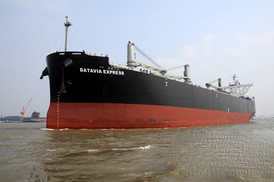 新扬子江造船世界最大木片运输船下水