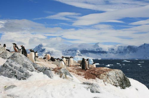 南极夏季越来越长 或加速海平面上升