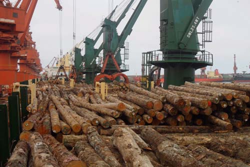 来港木材船舶增多 唐山海事局多项措施保安全