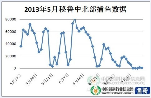 近期秘鲁港口关闭 当地鱼类价格上涨75%