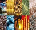 Tough times for commodity firms