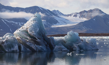 China's voyage of discovery to cross the less frozen north