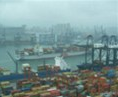 Shandong's 10-month sea port throughput box volume up 11.13pc