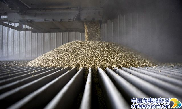 中国采购28亿美元美国大豆 助推干散货市场
