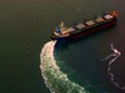 What hard landing? Chinese bulk trade barometer surges to three-year high 