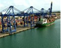 Moderate recovery predicted for Hong Kong and China container shipping sector 