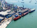 China imports decline in Feb for key commodities