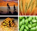China to rein supreme in world commodities in 2014 – report