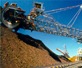 Dalian iron ore futures steady after slump