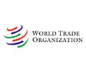 China major driver of global merchandise trade but needs to rebalance growth:WTO members