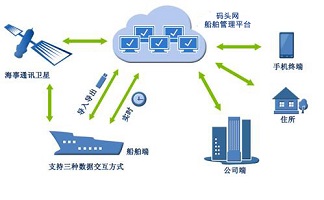 码头网：航运电商平台的创新传说