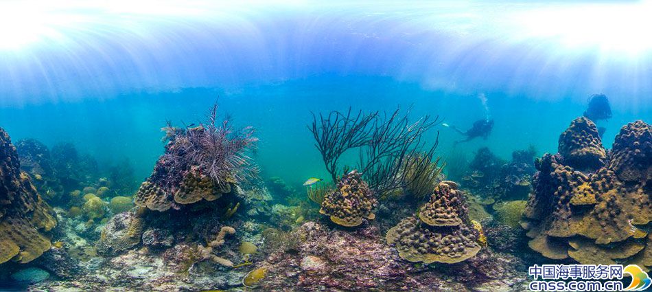 美科学家借助谷歌摄像头绘水底地图【高清】
