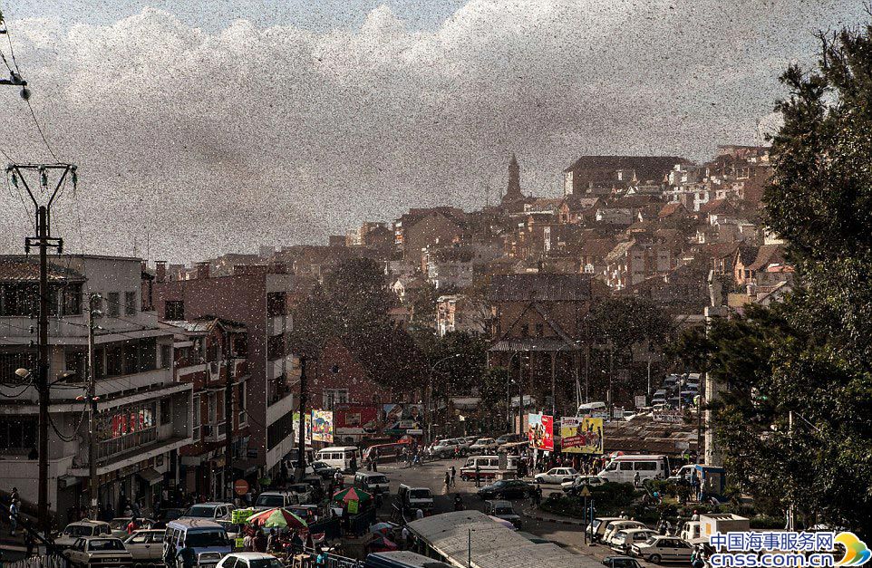 非洲马达加斯加首都上空被蝗虫“黑云”笼罩【高清】
