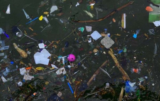 全球海洋塑料垃圾达5万亿块 重量超过2艘大游轮(图)