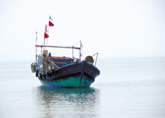 金清渔民购置废旧船只骗保 政府设卡从源头防范