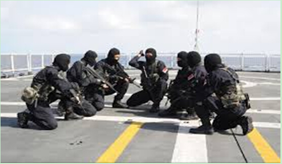 Chinese Navy helps fight Somali pirates