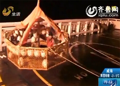 山东渔民海上受伤 救援队空中吊篮救人