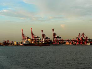 防城港市做大做强港口经济 昂起边海经济龙头