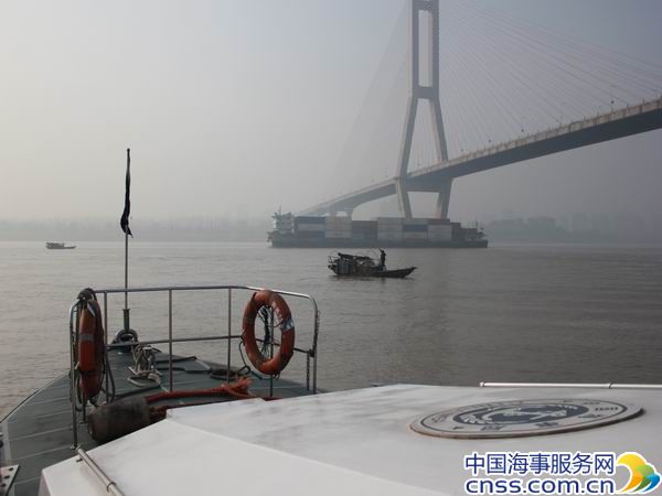 胆子忒大！小渔船竟跑到了长江大桥底下捕鱼