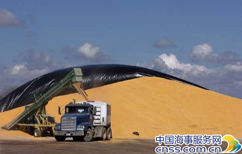俄罗斯市场年度谷物出口总量料达到3000万吨