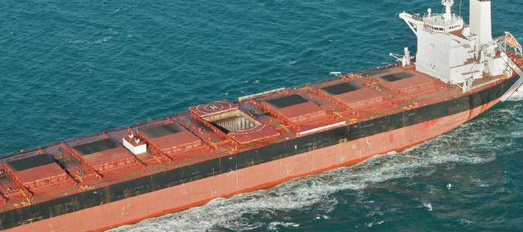 加拿大船东为12艘散货船订造BWTS