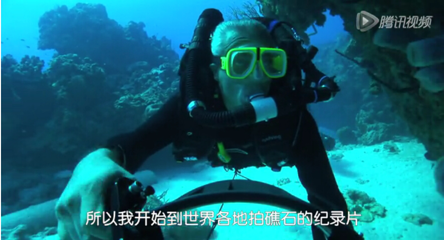 境外口碑大片《海豚湾》：一睹日本残杀海豚真相