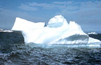 IMO adopts Polar Code environmental provisions