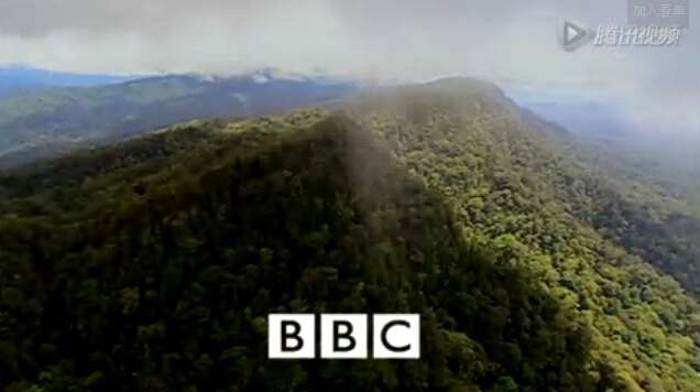 婆罗洲岛探险第二集：刚果野林世界【视频】